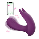 high frequency vibrator
